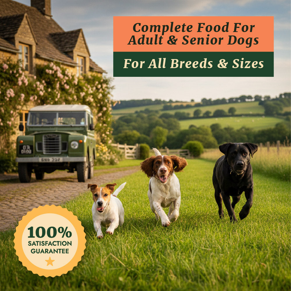 Taylors Grain Free Chicken Adult & Senior Dry Dog Food