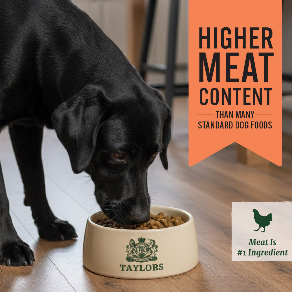 Taylors Grain Free Chicken Adult & Senior Dry Dog Food