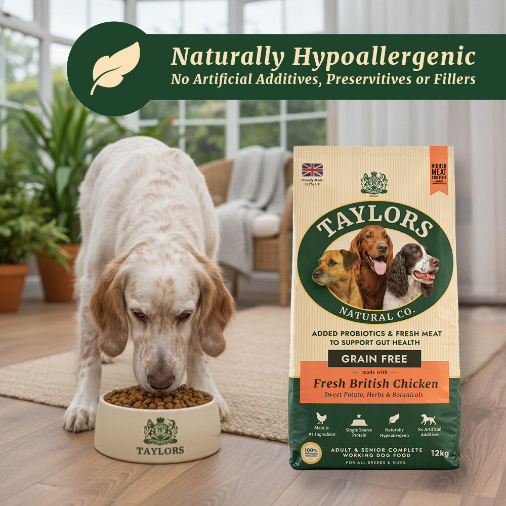 Taylors Grain Free Chicken Adult & Senior Dry Dog Food