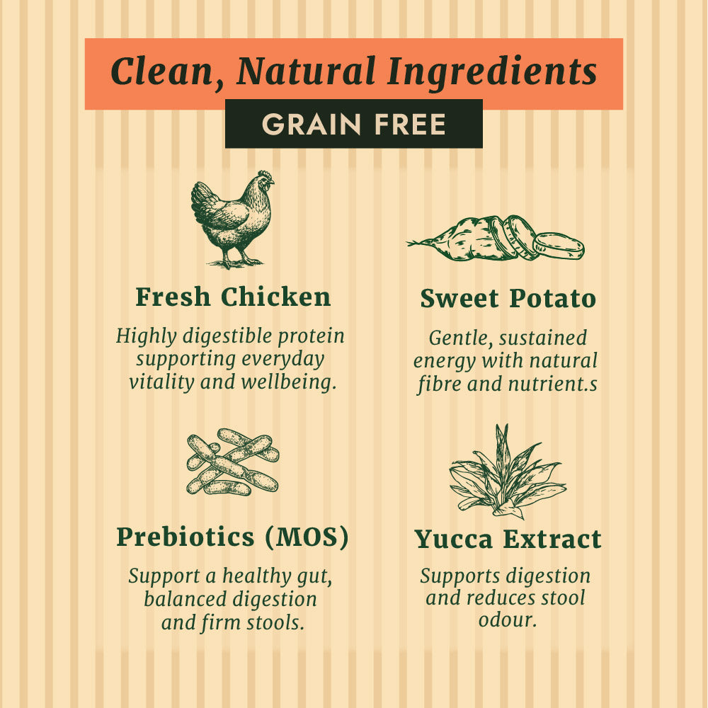 Taylors Grain Free Chicken Adult & Senior Dry Dog Food