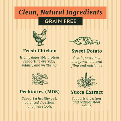 Taylors Grain Free Chicken Adult & Senior Dry Dog Food