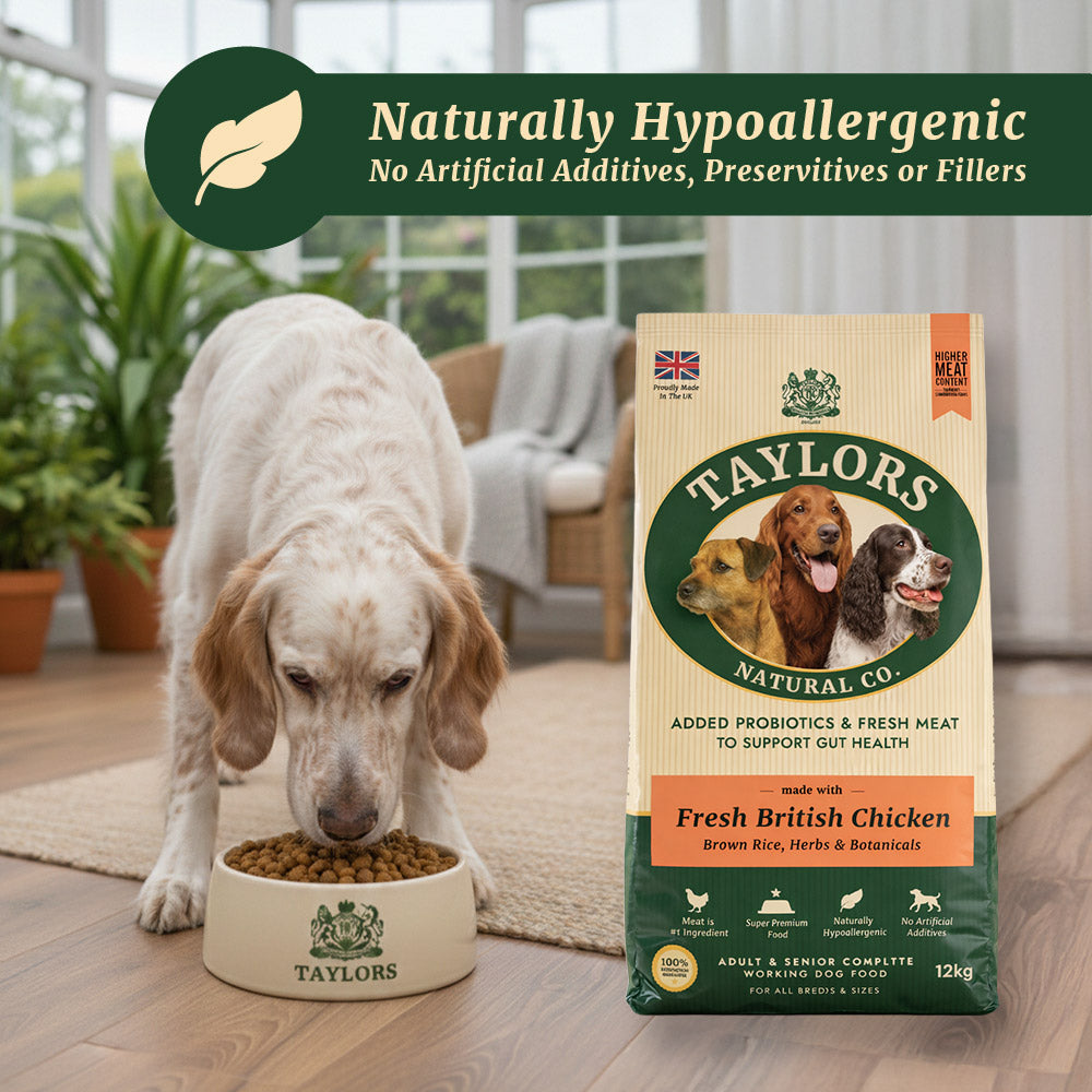 Taylors Chicken And Brown Rice Adult & Senior Dry Dog Food