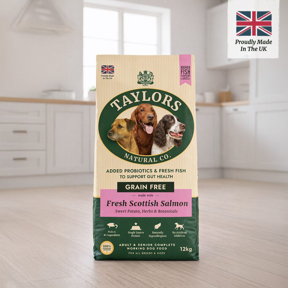 Taylors Grain Free Salmon Adult & Senior Dry Dog Food