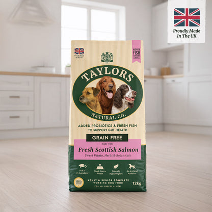 Taylors Grain Free Salmon Adult & Senior Dry Dog Food