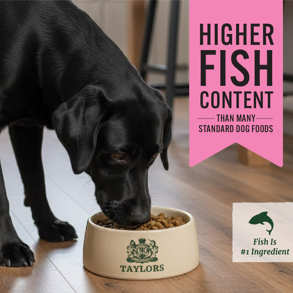 Taylors Grain Free Salmon Adult & Senior Dry Dog Food