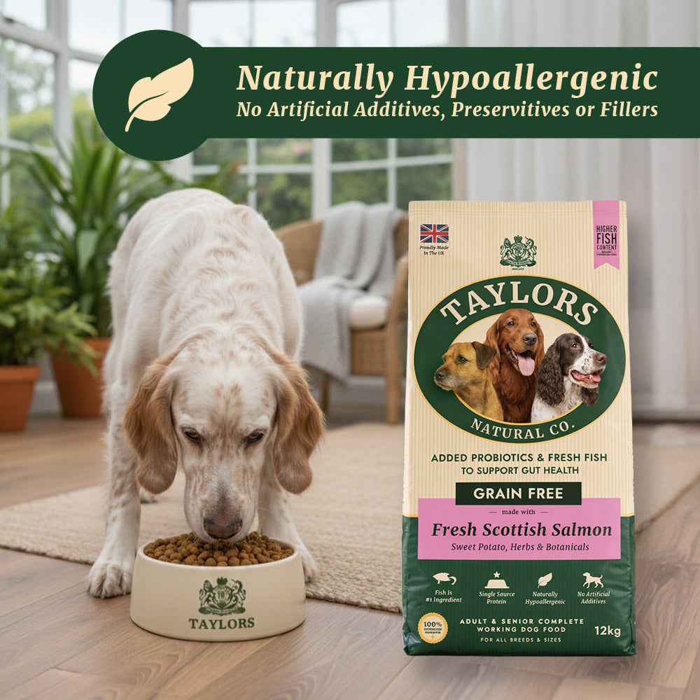 Taylors Grain Free Salmon Adult & Senior Dry Dog Food