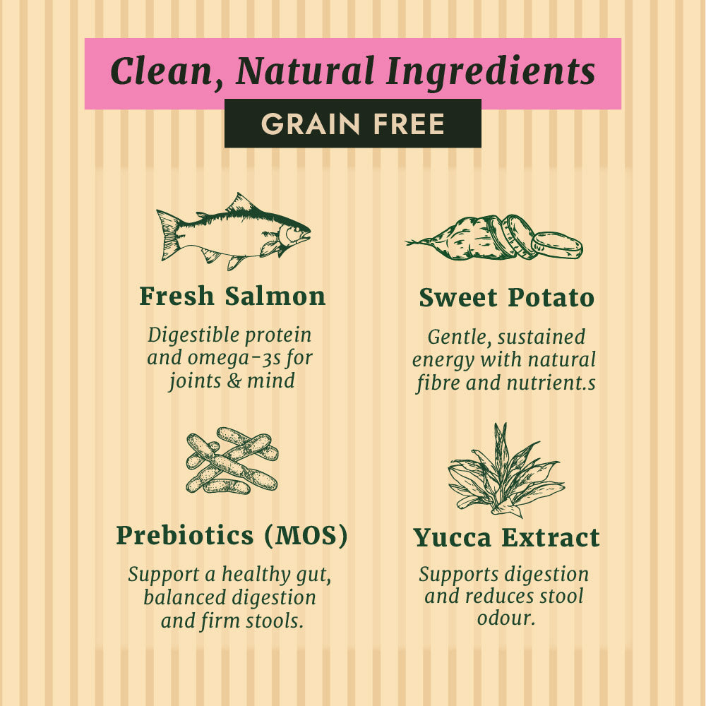 Taylors Grain Free Salmon Adult & Senior Dry Dog Food