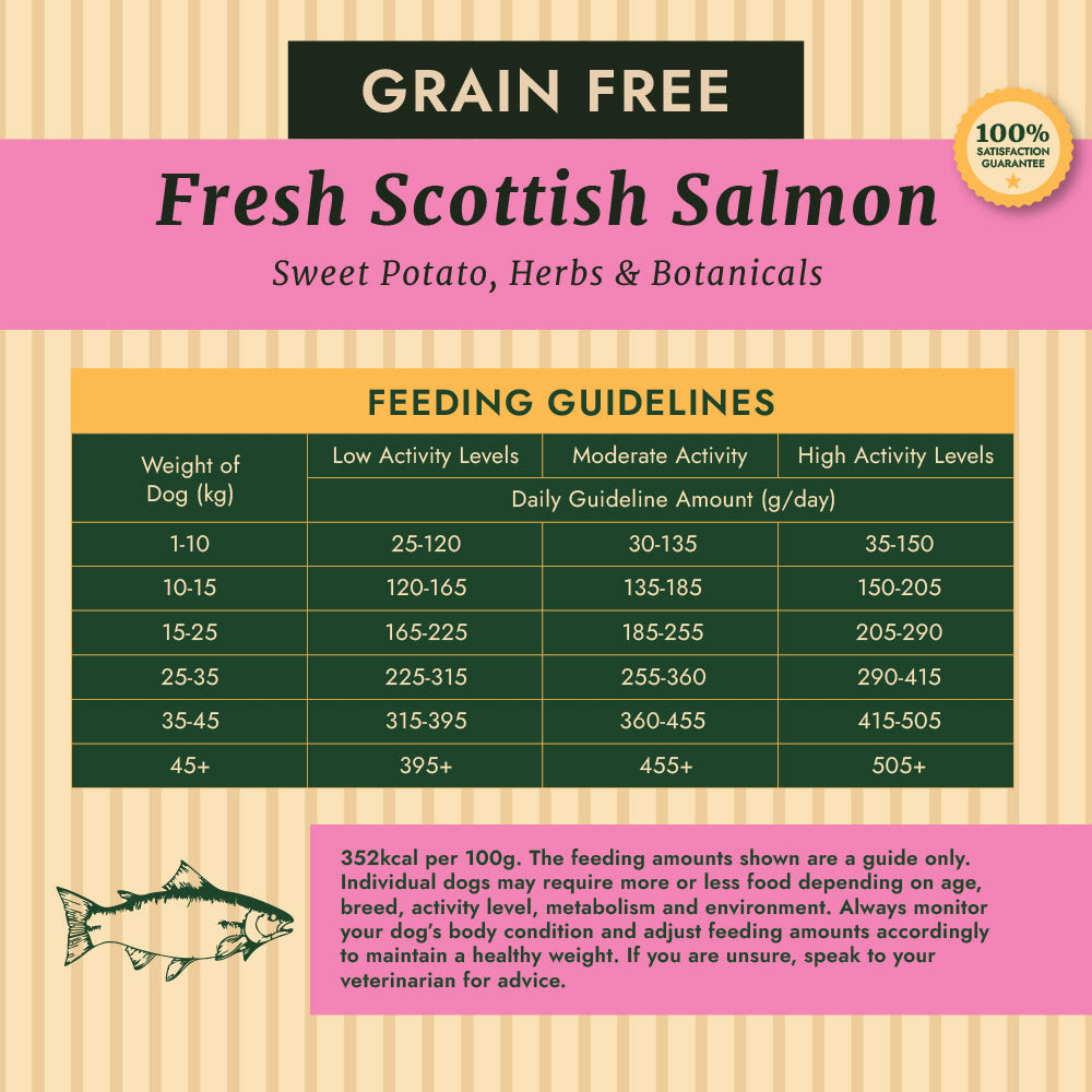 Taylors Grain Free Salmon Adult & Senior Dry Dog Food