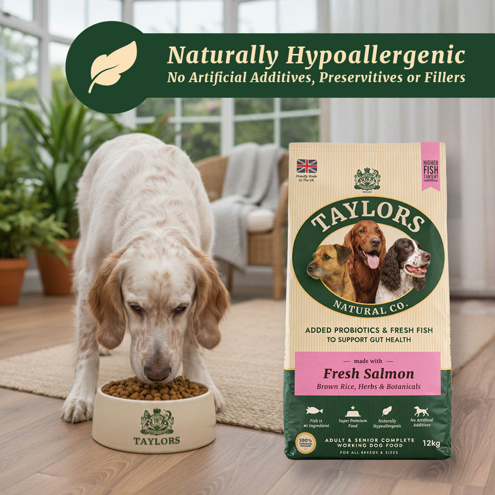 Taylors Salmon And Brown Rice Adult & Senior Dry Dog Food