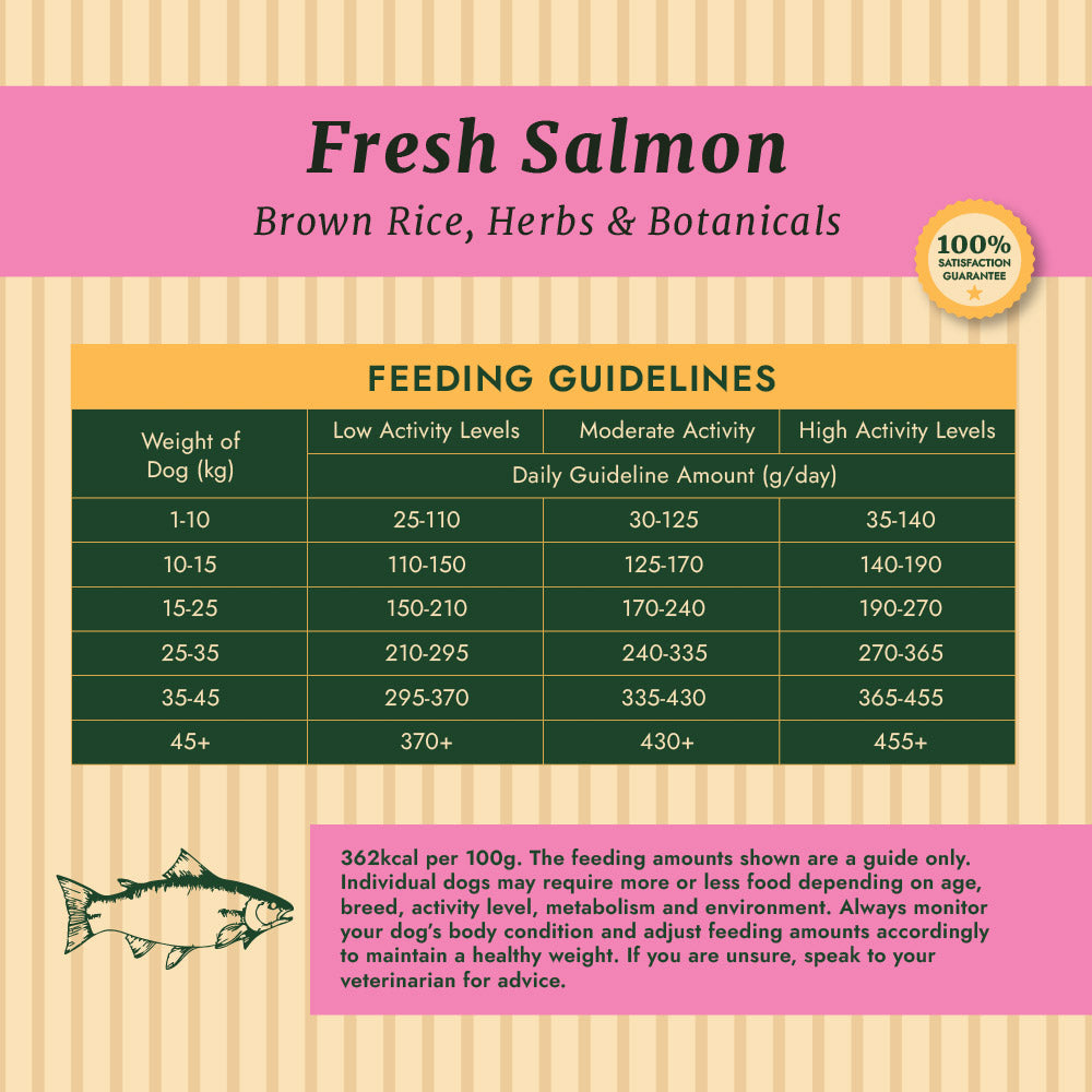Taylors Salmon And Brown Rice Adult & Senior Dry Dog Food