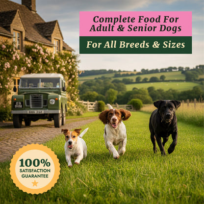 Taylors Salmon And Brown Rice Adult & Senior Dry Dog Food